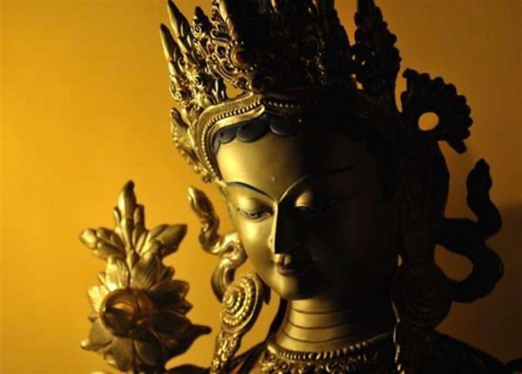 Stand with Courage and Sisterhood with Sandrine Dixson-Declève