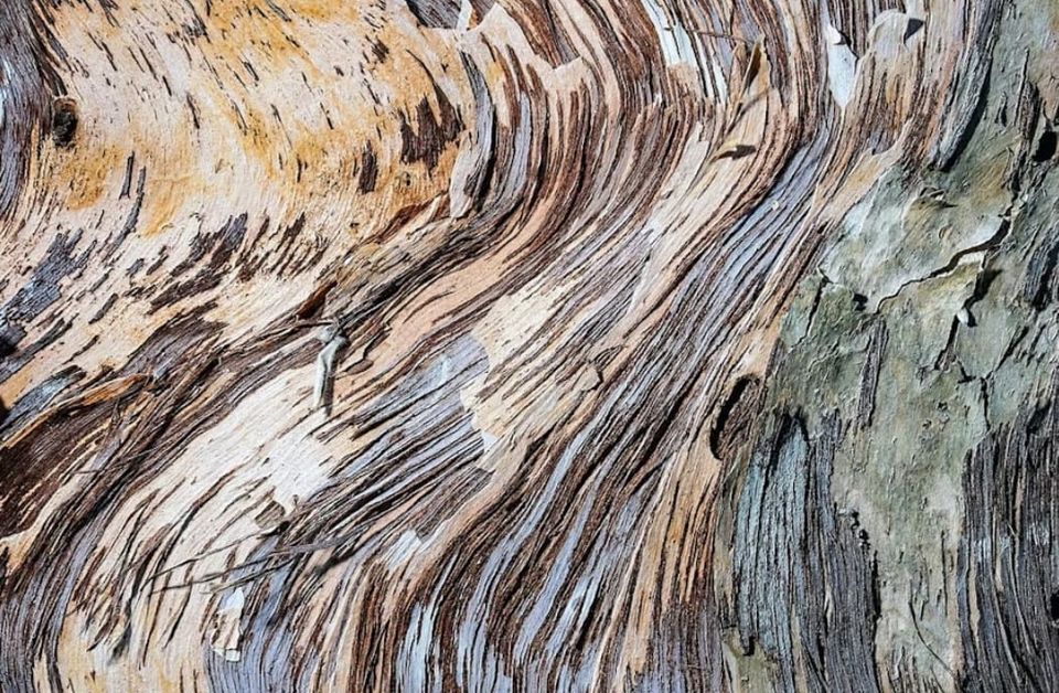 Salvador Perez - Leyes vivas, territorios que enseñan / Living laws, territories that teach