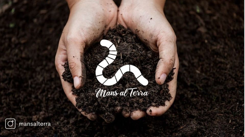 Salvador Pérez (Brote Silvestre & Aiden Cinnamon Tea) - Cuando la tierra pregunta / When the Earth asks