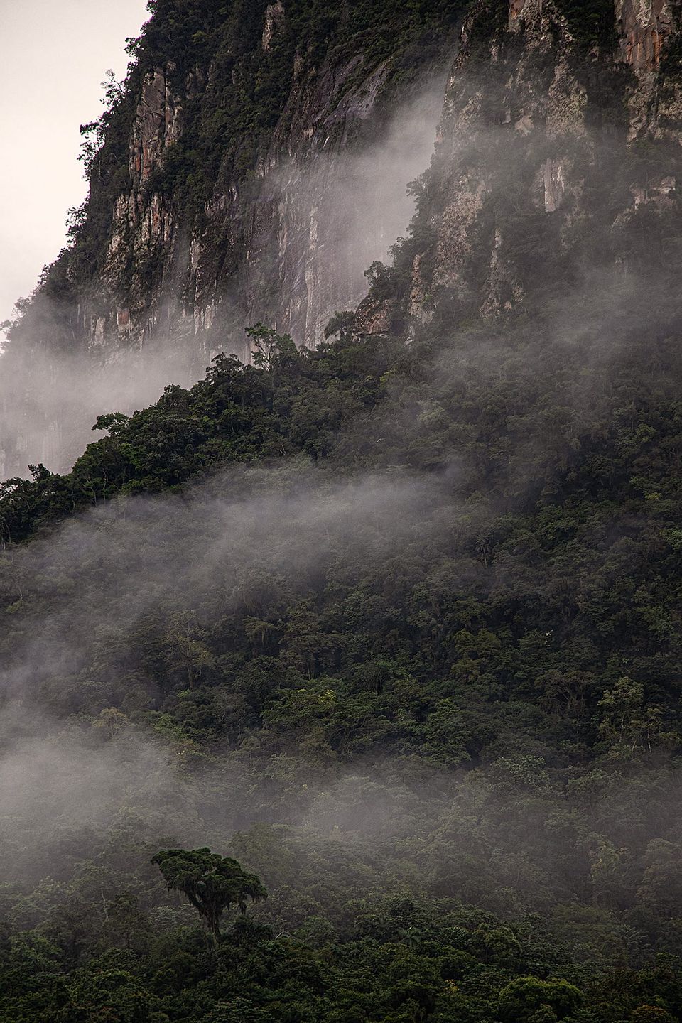 Kinship for our heart by Jossyellen Becher