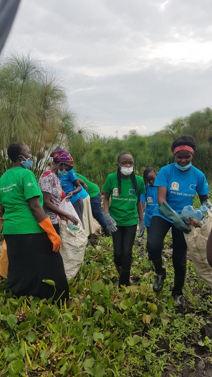 'I will be the Hummingbird'