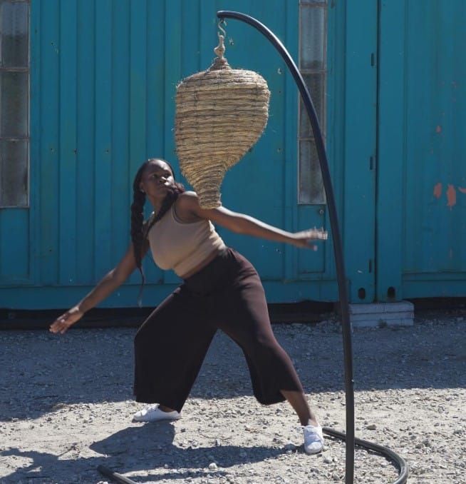 The waggle dance of the Bees: a perspective from southern Africa by Megan Lindow