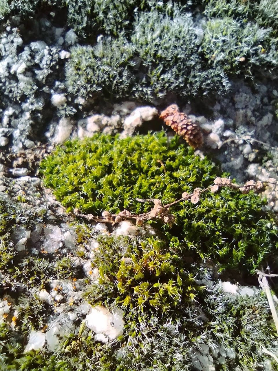 Otra vuelta, más profundo / Another turn, deeper