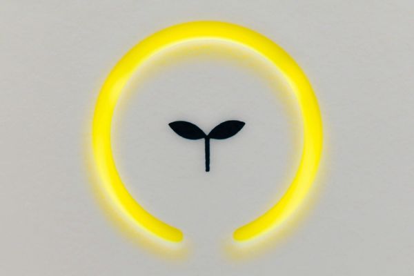 Sustainable revenue: How green strategies are driving business growth