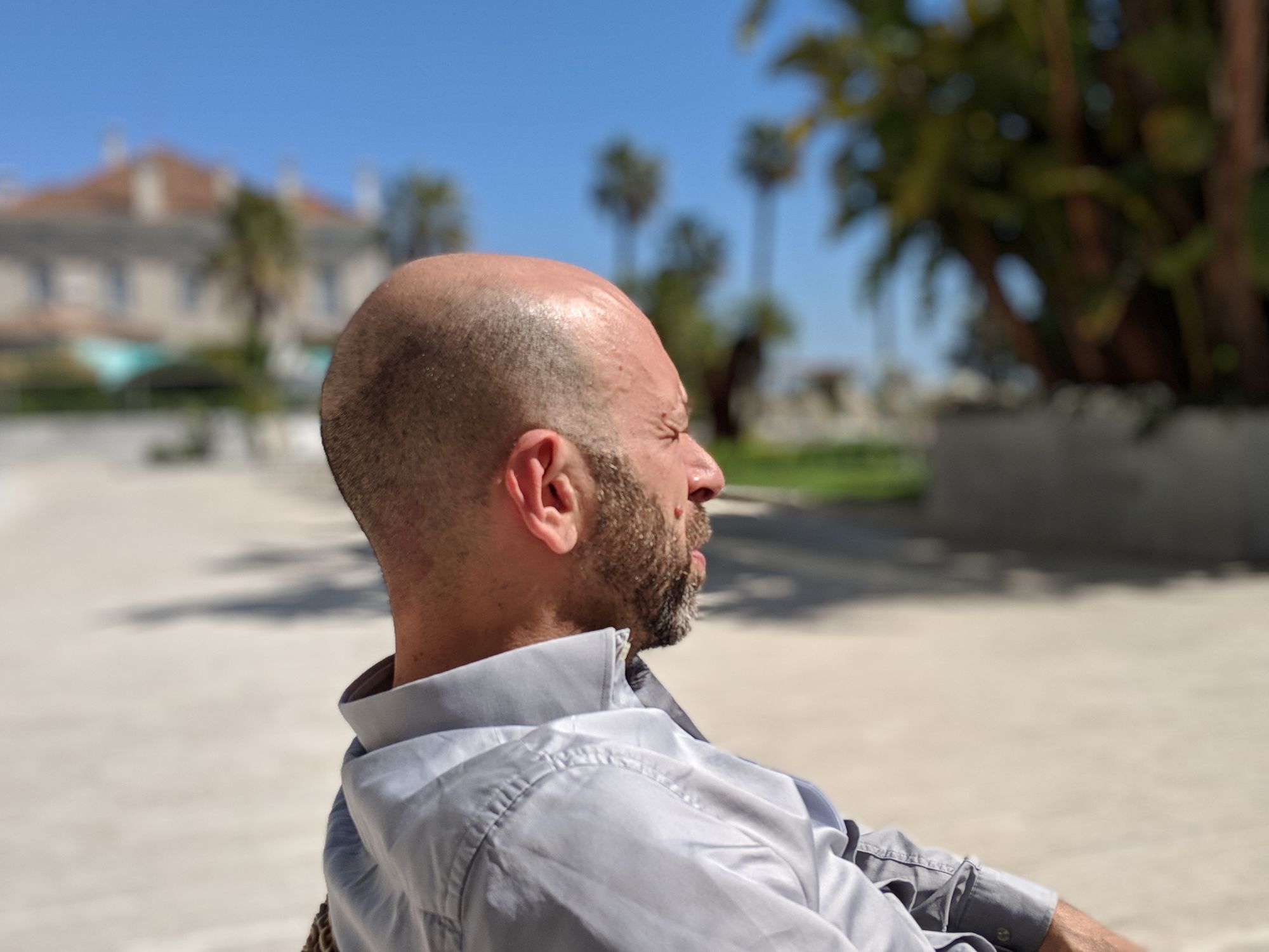Alessandro Amici