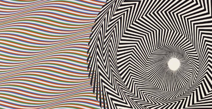 MYP 4 Task 3 Illusion