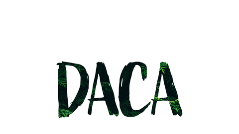 DACA renewal delays are disrupting lives in Stanislaus County, Dreamers and immigration advocates say