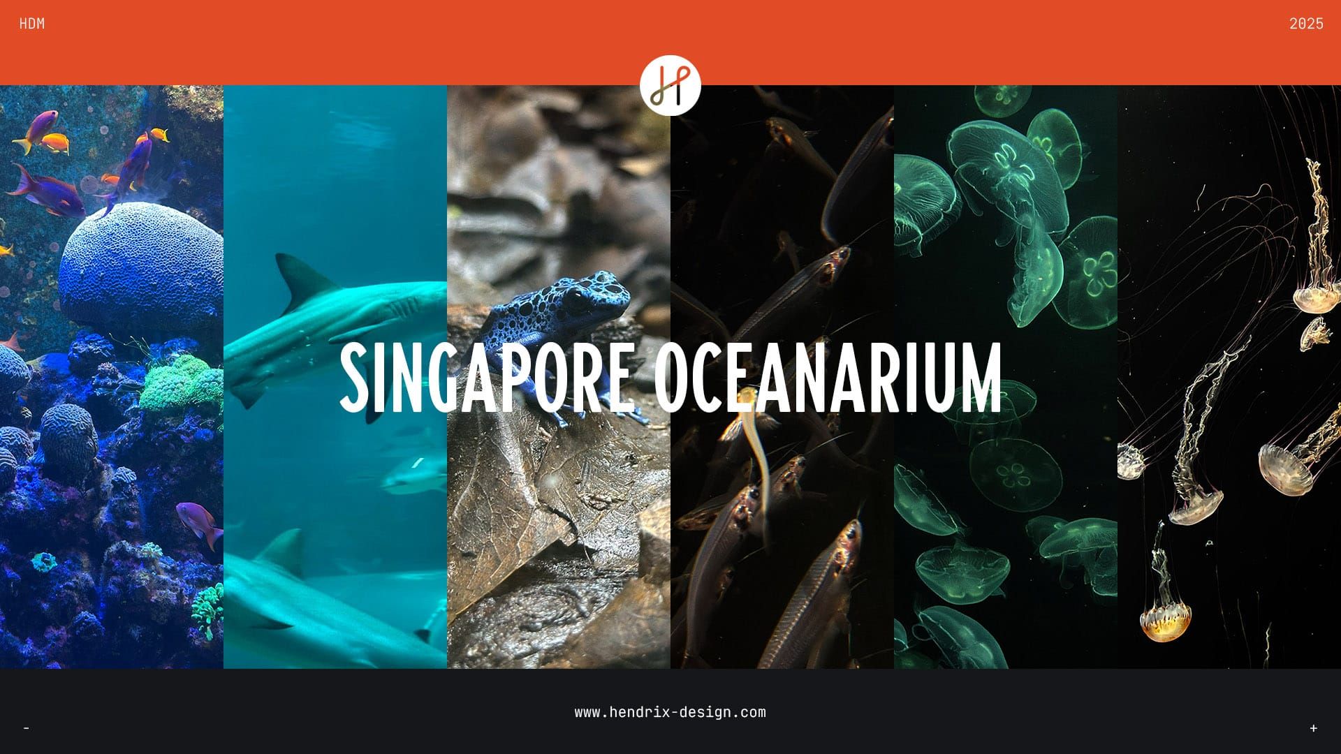 Inspiration strikes ...