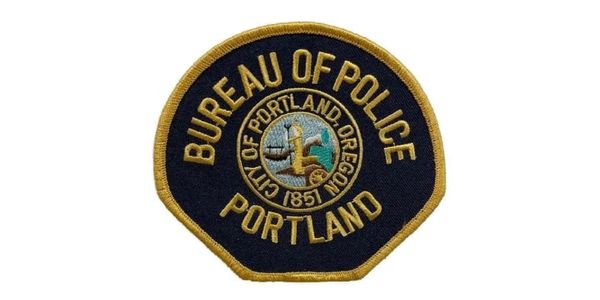 📧 Public Information Officer (PIO)