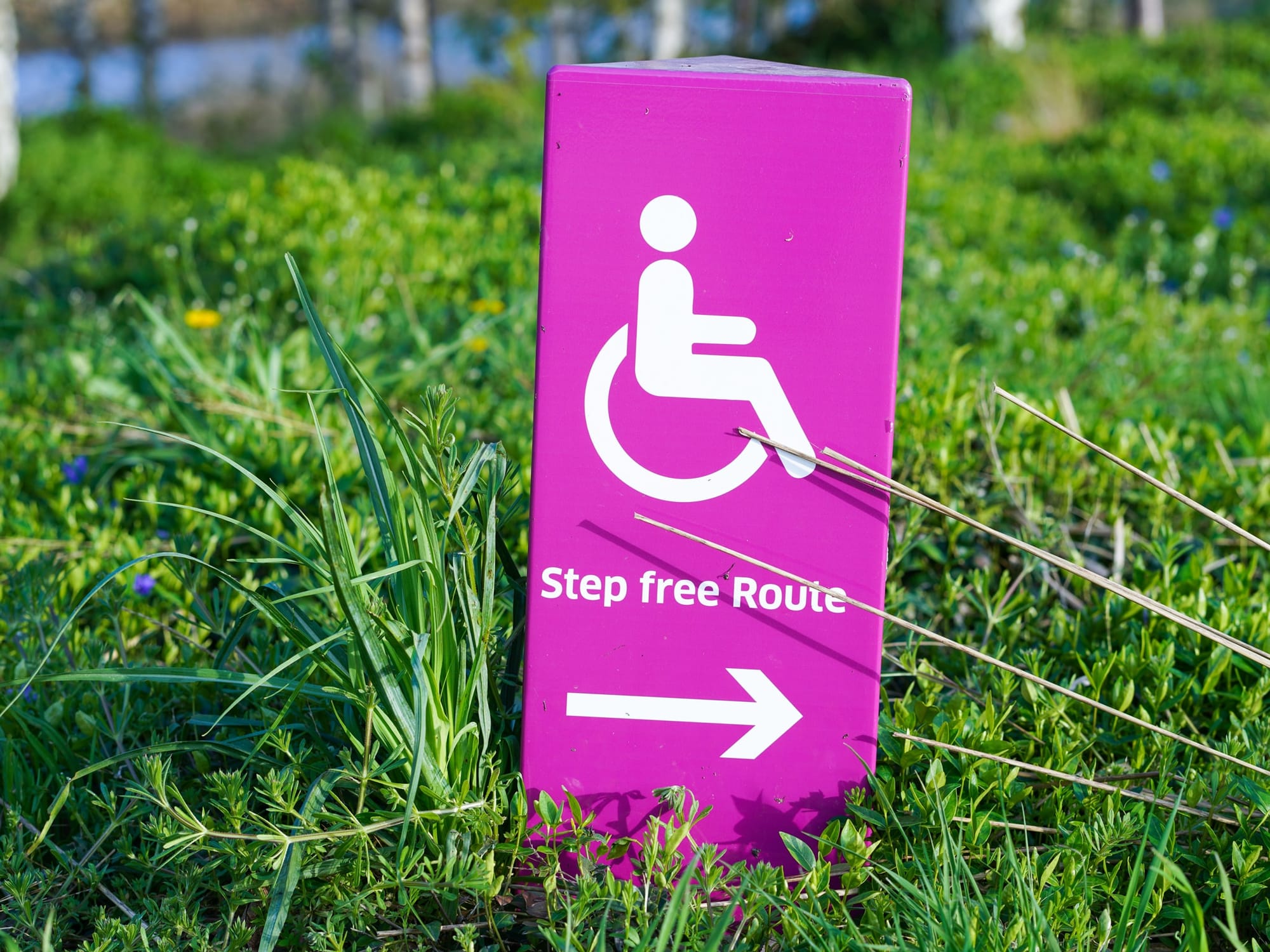 A magenta "Step free Route" sign with a wheelchair symbol and an arrow, set in tall grass.