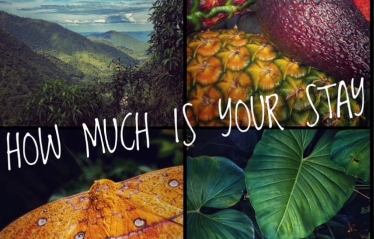 HOW MUCH IS YOUR STAY