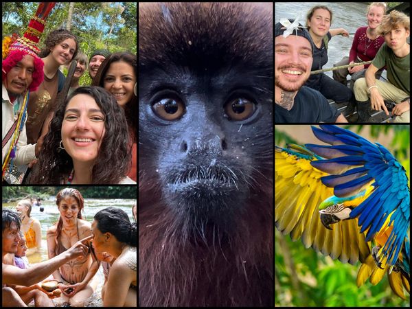 COME HERE FOR FREE? Yes, this is possible..