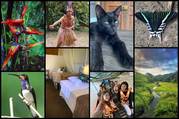 VOLUNTEER AS A HOUSEKEEPER