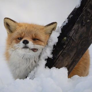 eureka