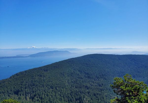 A rolling, tree-covered hillside with the bright blue Salish Sea behind it, and the Cascade Mountains rising from the mist be
