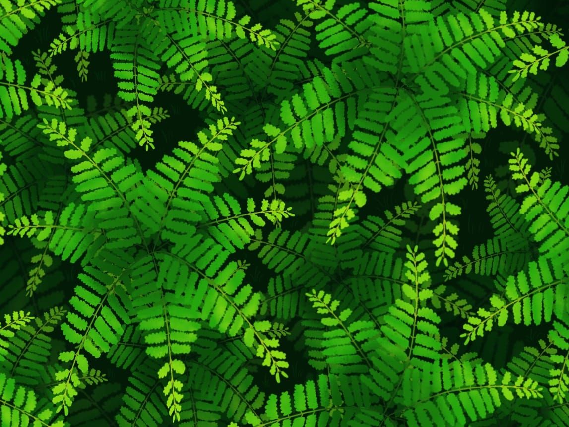 #4: My First Native Plants Have Arrived!