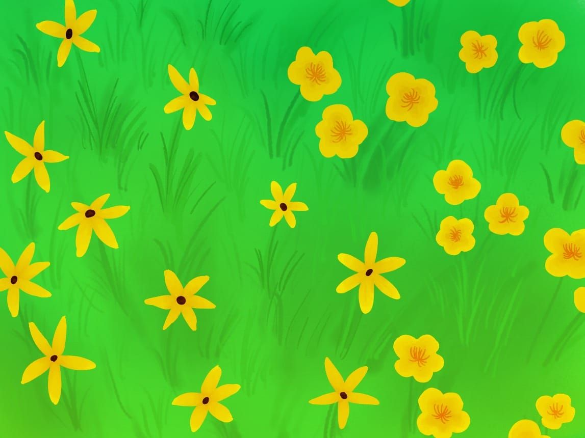 #1: What Is Sow and See?