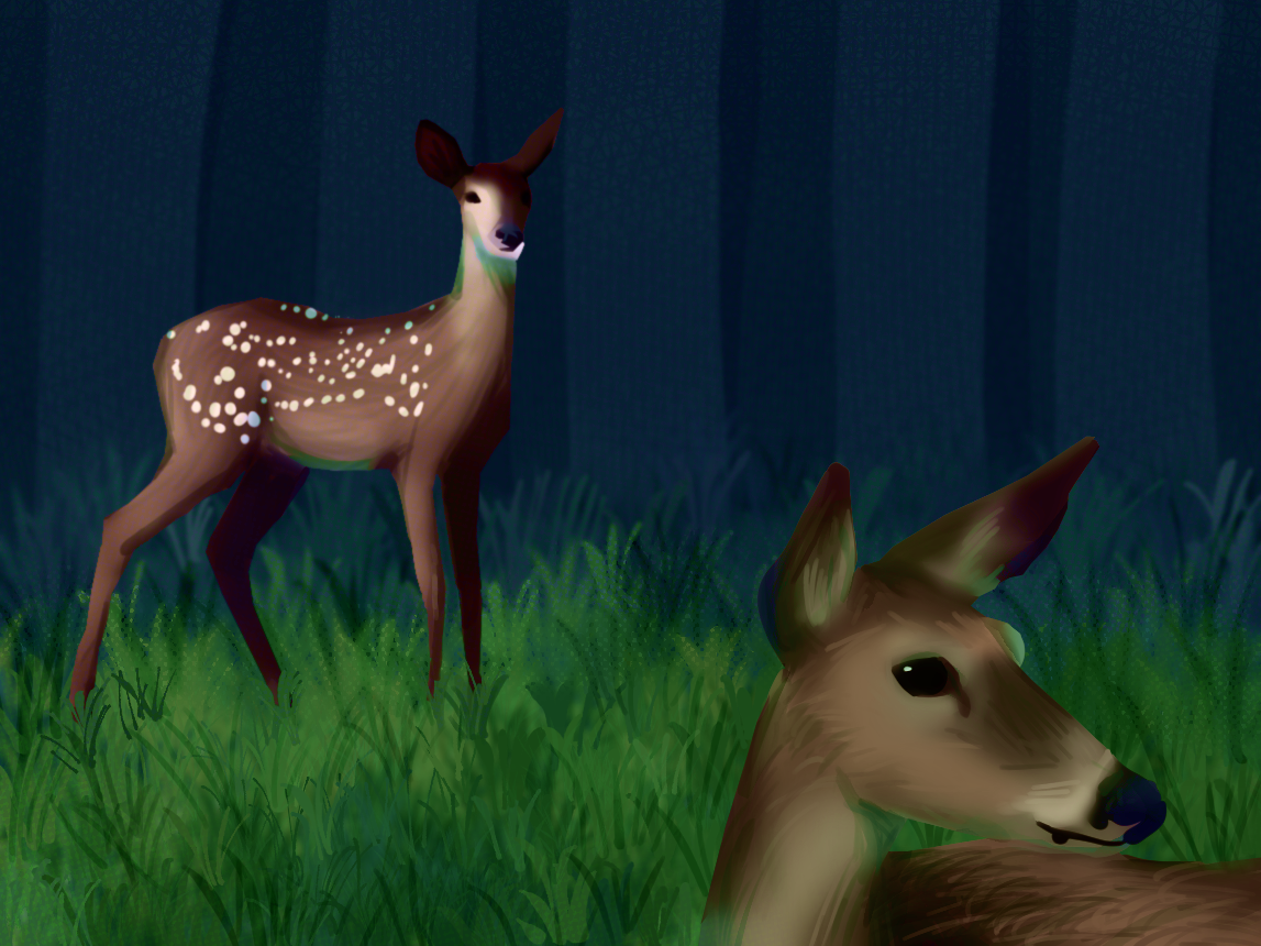 #5: Finishing Up My Fall Planting