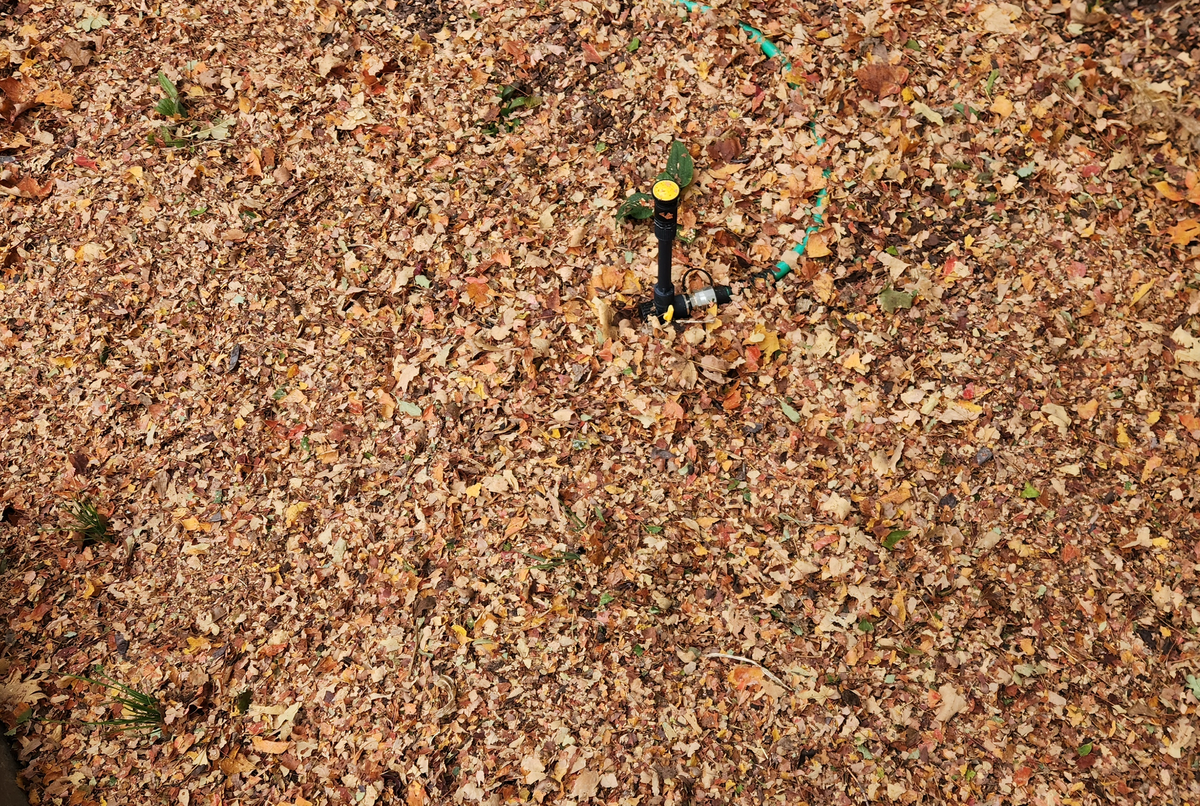 #8: Creating Leaf Mulch