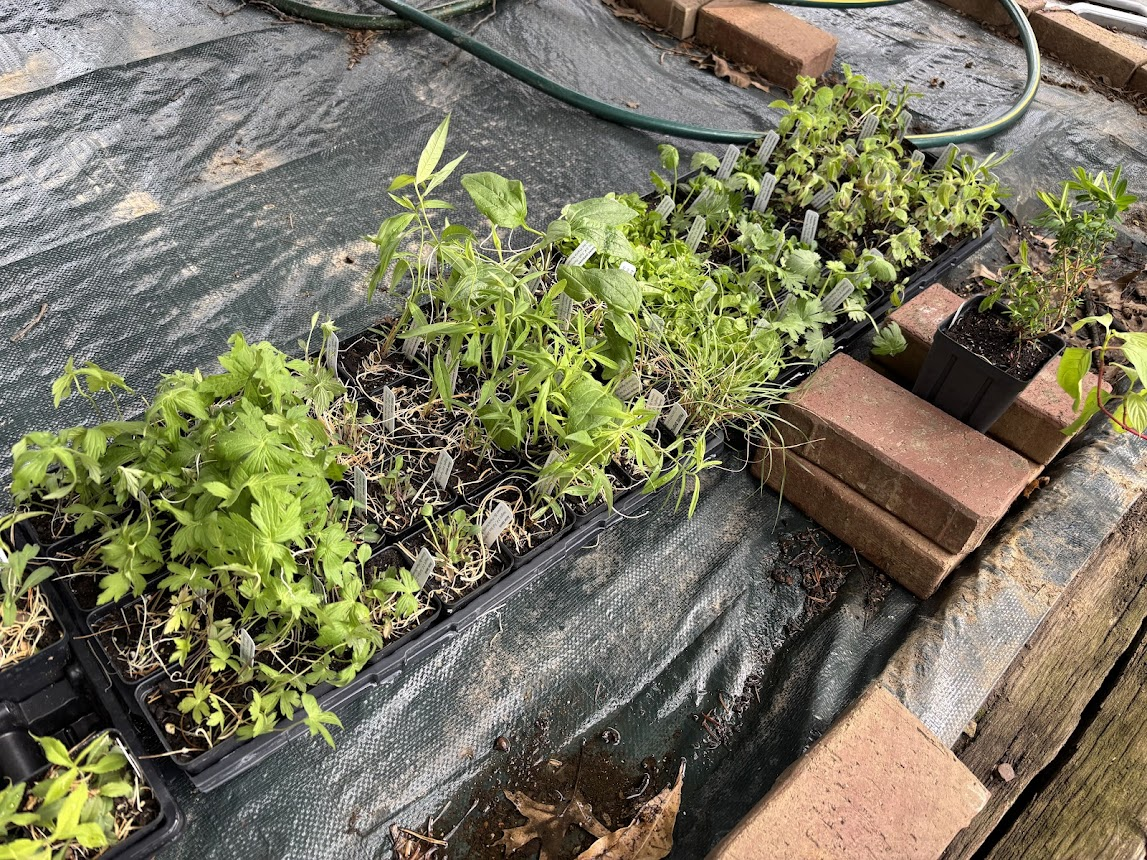 #14: Ambition and Mistakes