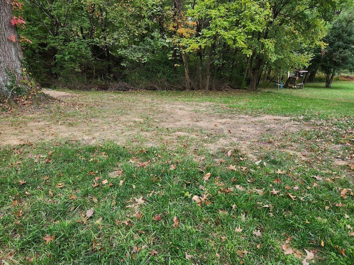 #6: Deciding to Turn My Back Yard Into a Wildflower Prairie