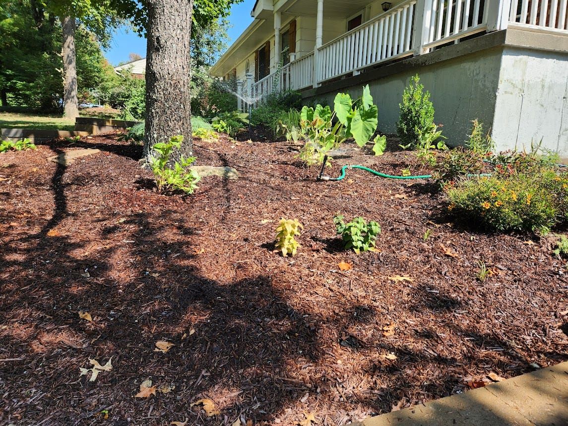 #5: Finishing Up My Fall Planting
