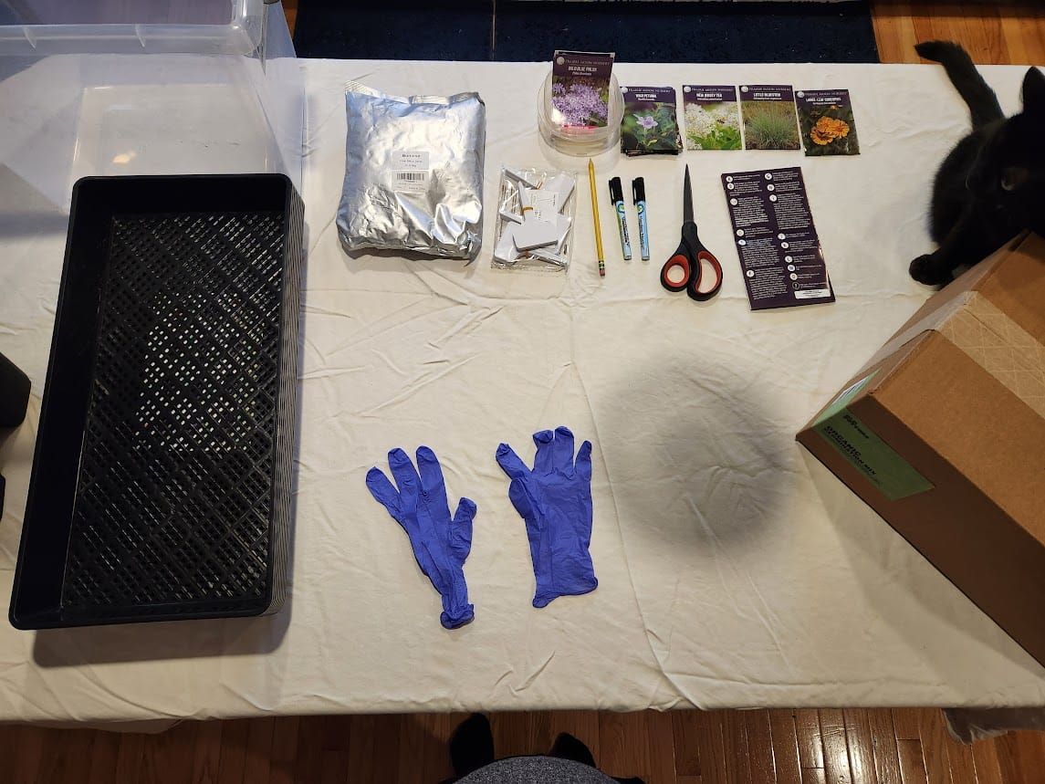 #7: My First Attempt at Winter Sowing