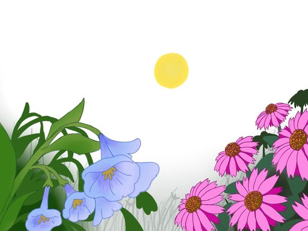 #2: Destroying Three Years of Work