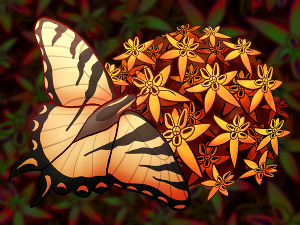 #7: My First Attempt at Winter Sowing