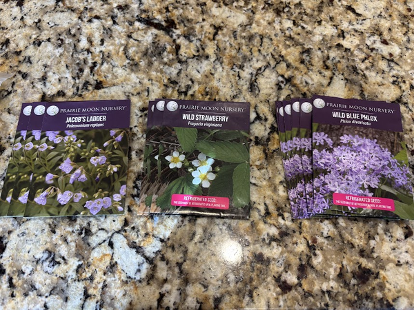 #10: Winter Sowing Part 2