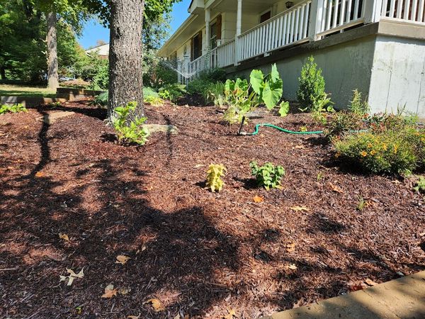 #5: Finishing Up My Fall Planting
