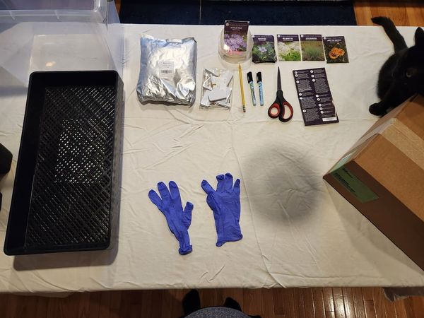 #7: My First Attempt at Winter Sowing