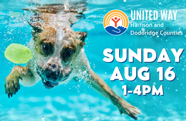 United Way’s ‘Drool at the Pool’ Set for August at VA Park Splash Zone