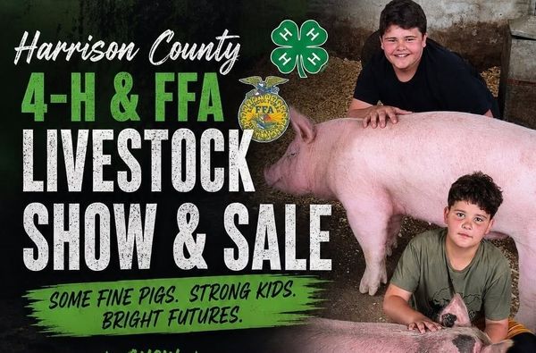 Harrison County Livestock Show Grows From Six Exhibitors to 24 as Annual Sale Returns