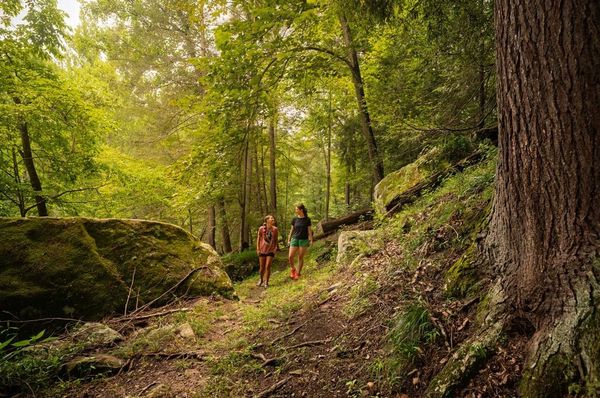 Nature Wonder Weekend Returns To North Bend State Park With Wild Food Tradition
