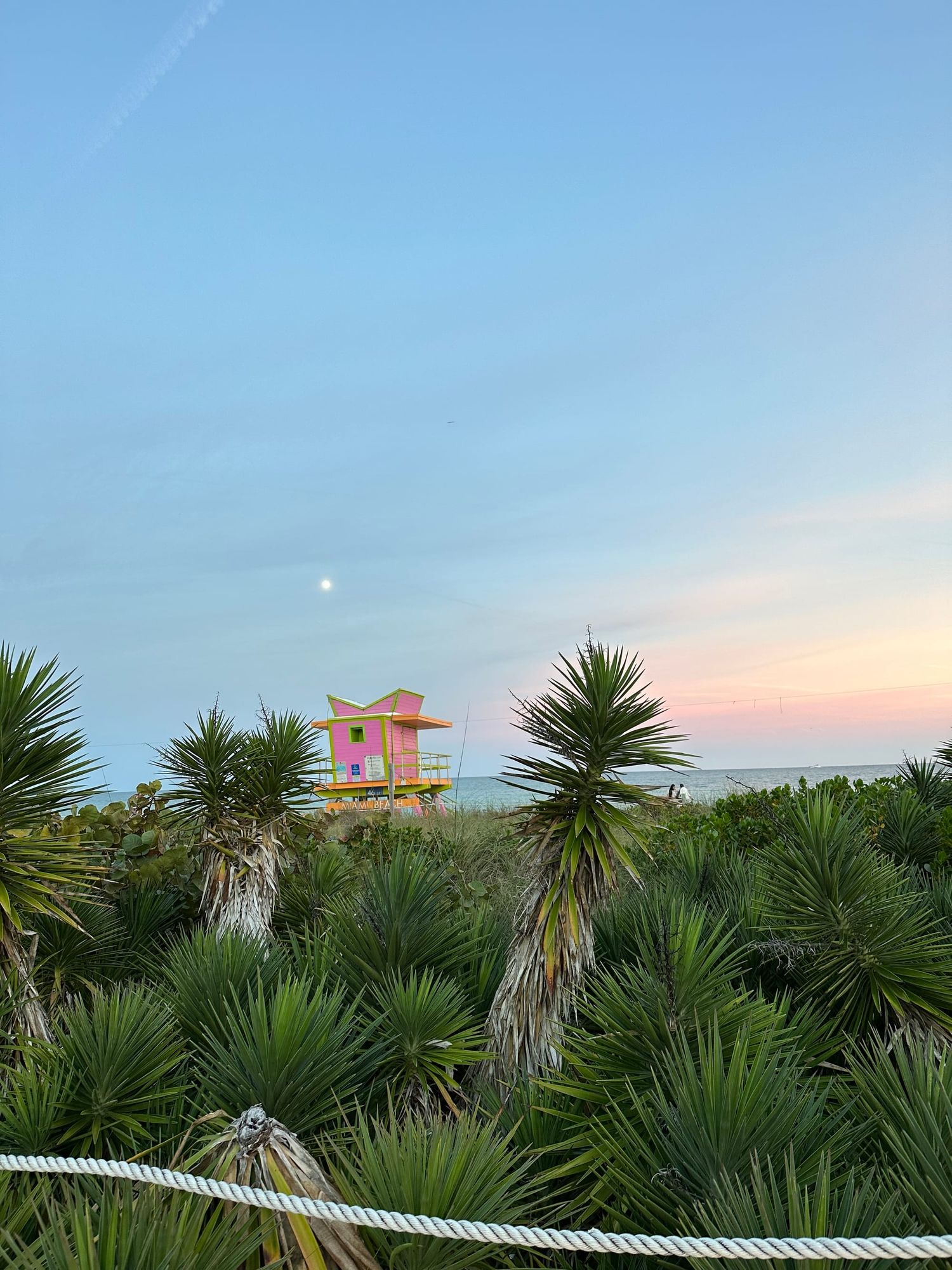 Four Great Restaurants in Miami