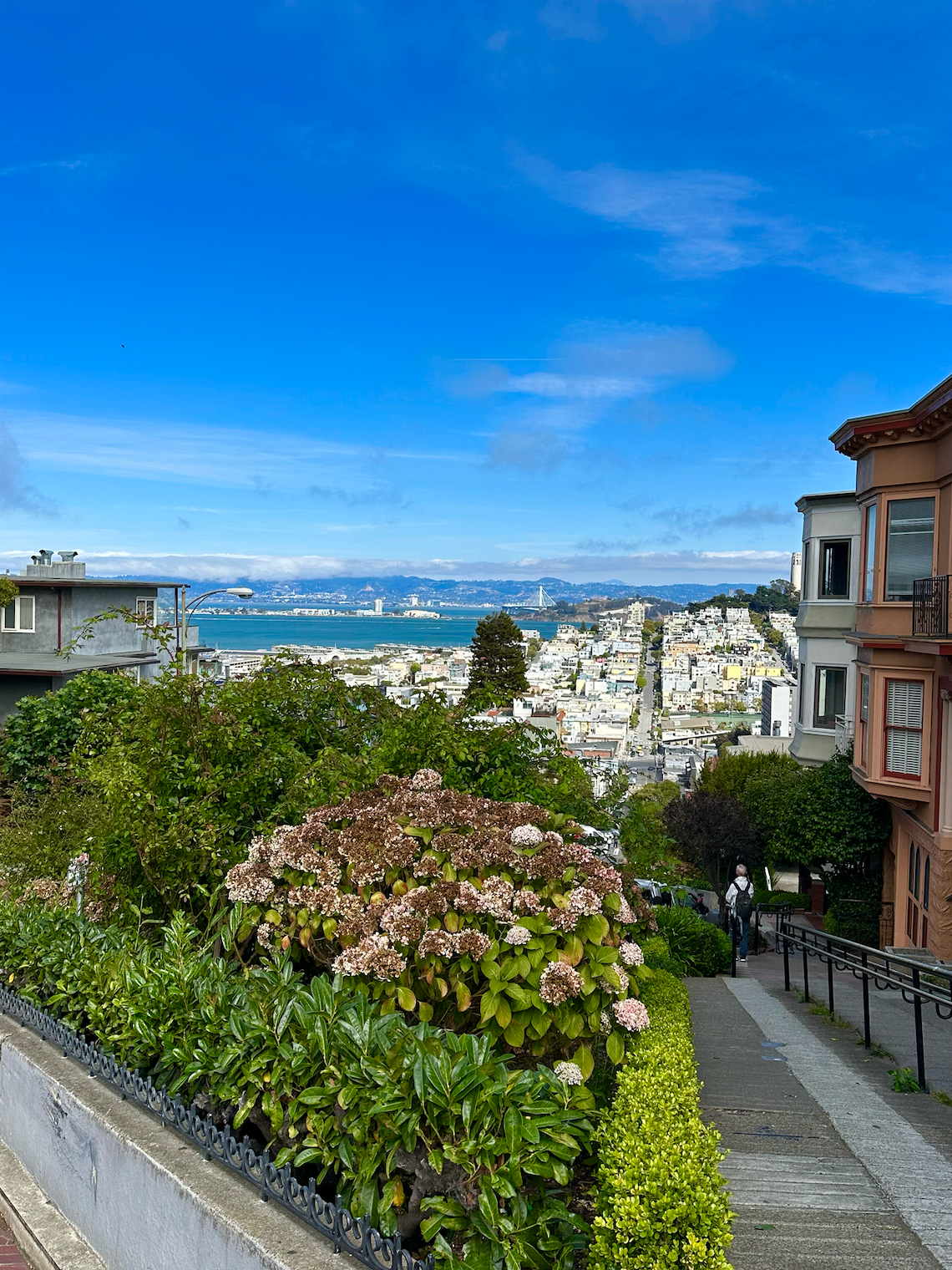 Must Try Bites of San Francisco