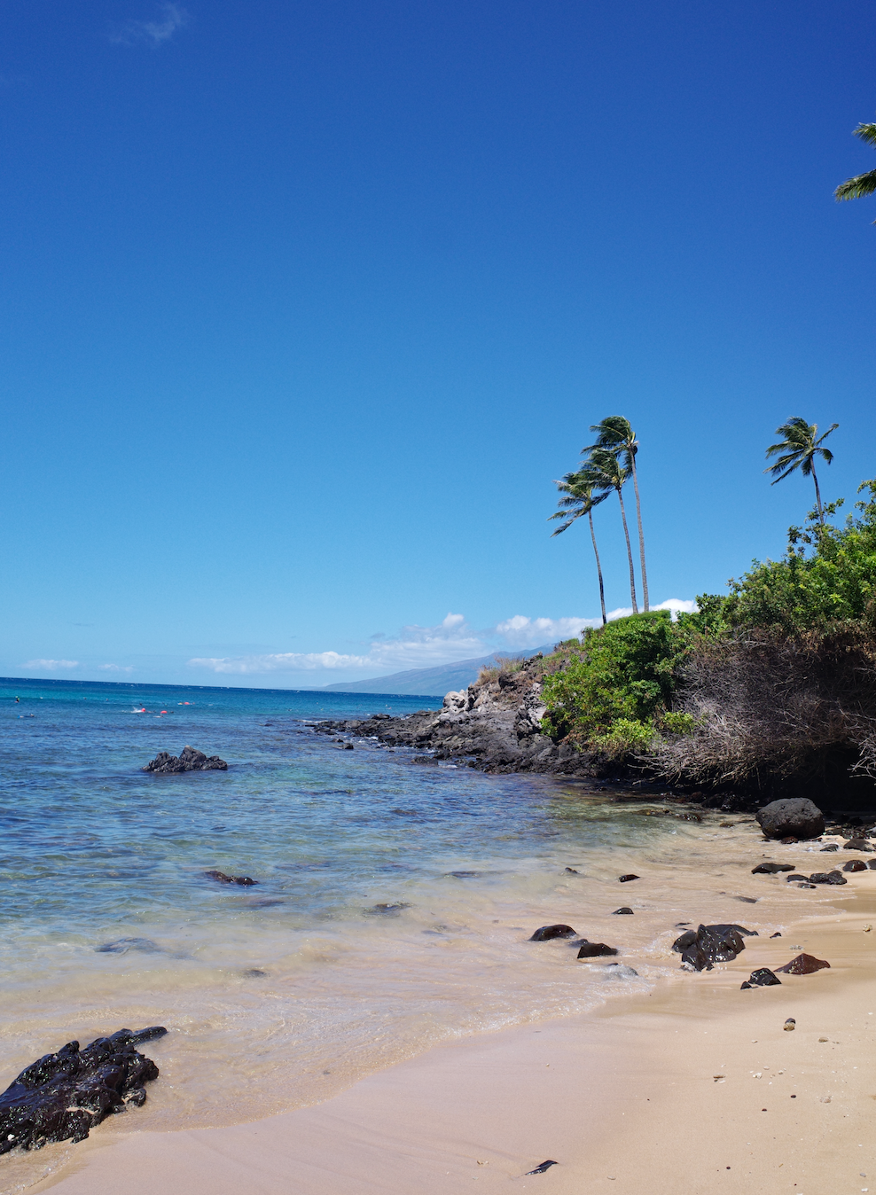 Maui: Where To Eat and Things To Do
