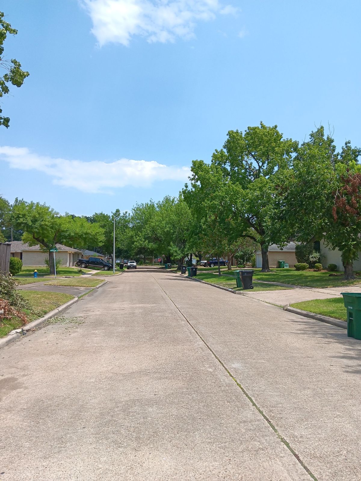 What Gets Sprayed in Sharpstown’s Weekly Mosquito Treatment?