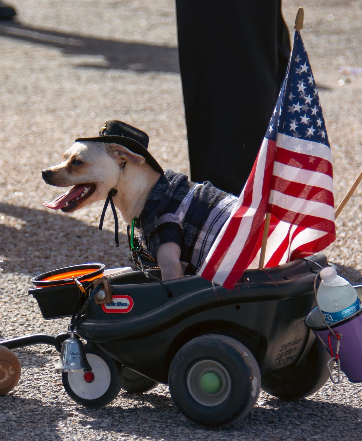 Liberty Fest 2024 in Photos: a Celebration of Freedom and Community