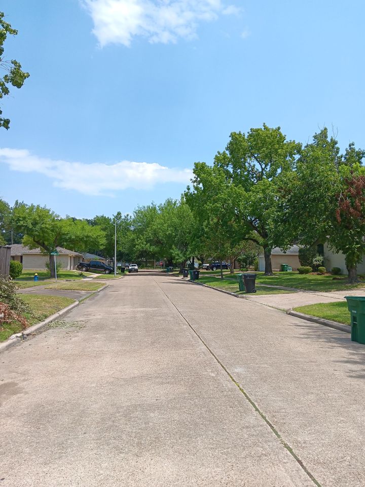What Gets Sprayed in Sharpstown’s Weekly Mosquito Treatment?