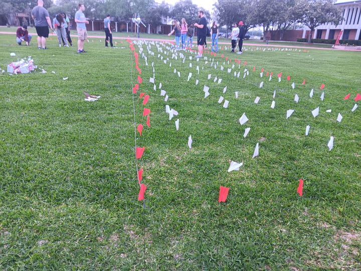Memorial of the Innocent: Planting Flags for the Unborn Is Personal for These HCU Students