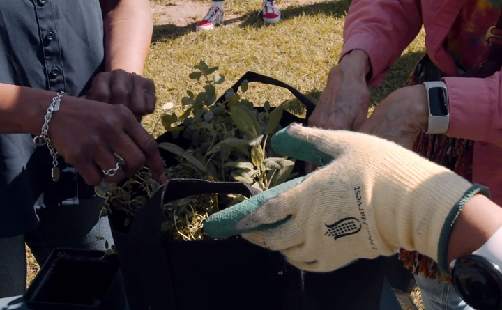 Trade Plants with Your Neighbors at the Sharpstown Earth Day Plant Swap, 4/20/24