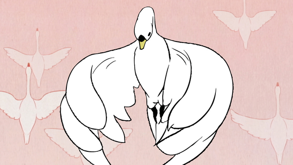 🧧 C'est bon cygne