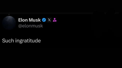 Cartoon urging readers to skip the Trump-Musk feud and read a tax-aware investing roundup instead