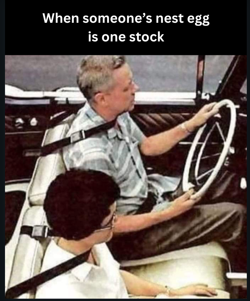 Cartoon of volatility drag eroding a massively concentrated single-stock position over time