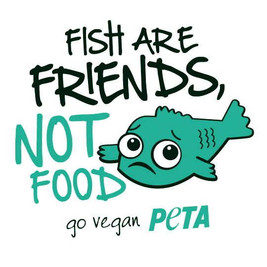 From Plant-Based to Animal-Based: Changing My Mind on Food