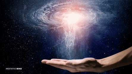 Experience Design: Wonderland on Demand