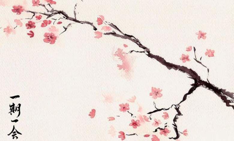 Treasuring the Unrepeatable Nature of a Moment. 🎋