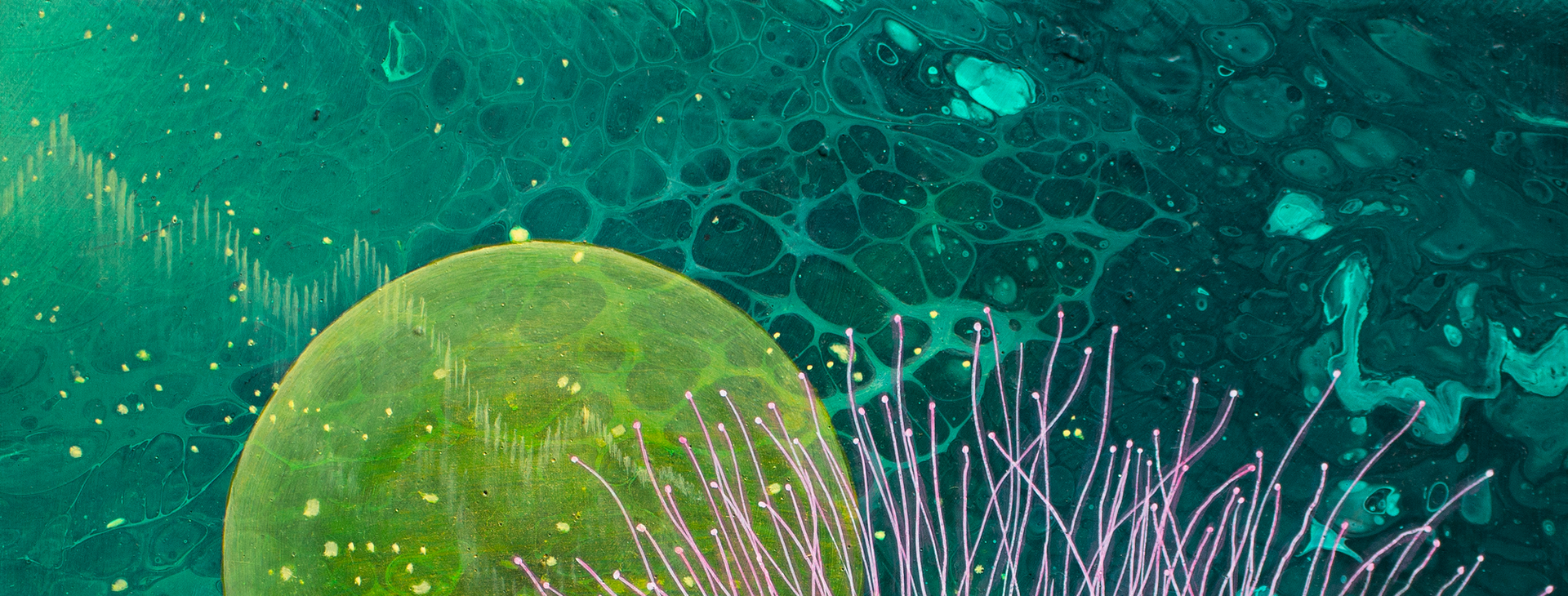 The Marosa Meditations Pt.1